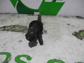 Recambio de bomba embrague para citroën c3 1.4 hdi referencia OEM IAM 9672094480 