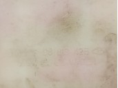 Recambio de deposito expansion para chevrolet lacetti 1.6 cat referencia OEM IAM 96813425 