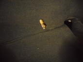 Recambio de asientos traseros para seat ibiza (kj1) fr referencia OEM IAM 4072547 TELA NEGRA Y GRIS 5 PUERTAS