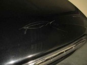 Recambio de porton trasero para jaguar x-type 3.0 v6 24v cat referencia OEM IAM C2S8134 NEGRO 4 PUERTAS