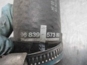 Recambio de tubo para citroën c6 exclusive referencia OEM IAM 9683957380 