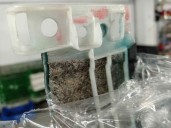 Recambio de apoyabrazos central para bmw serie 5 berlina (g30) 2.0 16v turbodiesel referencia OEM IAM 51166833966 64229330687 