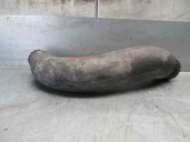 Recambio de tubo para hyundai elantra (xd) 2.0 crdi cat referencia OEM IAM 2813827000 