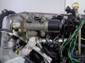 Recambio de motor completo para fiat multipla nuevo (186) 1.9 jtd cat referencia OEM IAM 186A8000 3760693