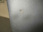 Recambio de asiento delantero derecho para peugeot bipper 1.3 16v hdi fap referencia OEM IAM 2495444 TELA GRIS 5 PUERTAS