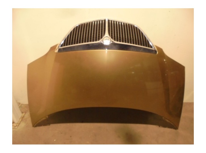 Recambio de capot para lancia phedra (180) 2.2 jtd 16v emblema referencia OEM IAM 1400618888 MARRON 