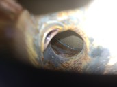 Recambio de catalizador para renault captur ii (hf_) tce 155 (hfmn) referencia OEM IAM 208A02740R 208A02740R 127531649008