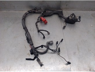 Recambio de cableado para toyota verso (_r2_) 1.6 d4-d (war20_) referencia OEM IAM 828170F150 821220F022 