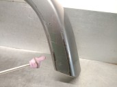 Recambio de aletin delantero derecho para mercedes-benz clase g (w463) g 500 (463.260, 463.261) referencia OEM IAM A4638810400 A