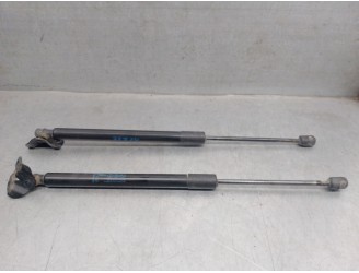 Recambio de amortiguadores capo para opel zafira tourer c (p12) 1.6 cdti (75) referencia OEM IAM 315005777 1180057 