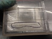 Recambio de piloto trasero izquierdo para ssangyong musso (fj) 2.3 d referencia OEM IAM 8360105502X  