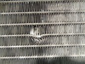 Recambio de radiador agua para ford focus berlina (cak) ambiente referencia OEM IAM 98AB8005MF 9345A04 