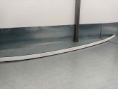 Recambio de molduras delanteras para bmw serie 5 berlina (g30) 2.0 16v turbodiesel referencia OEM IAM 741950007  