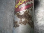 Recambio de amortiguador delantero izquierdo para mg serie 25 (rf) 2.0 idt cat referencia OEM IAM E4944 1D05 MONROE