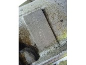 Recambio de caja cambios para bmw serie 3 berlina (e46) 318i referencia OEM IAM BDP 0040643 