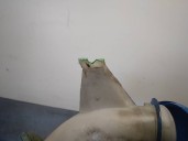 Recambio de deposito limpia para skoda fabia (5j2 ) 1.2 12v referencia OEM IAM 6Q0955453P 6Q0955453P 