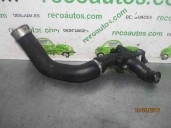 Recambio de tubo para dacia sandero ii 0.9 tce cat referencia OEM IAM 7E144604208R  