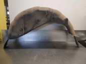 Recambio de paso rueda trasero derecho para land rover discovery v6 td edition 60 yrs referencia OEM IAM CLF500182 CESTA 30-A