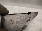 Recambio de moldura para citroën c4 picasso ii 1.6 bluehdi 120 referencia OEM IAM 98001787ZD  