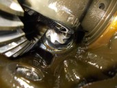 Recambio de diferencial delantero para nissan terrano/terrano.ii (r20) 2.7 turbodiesel referencia OEM IAM 38511G23007 3810006G10