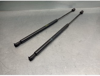TRUNK / TAILGATE STRUTS 1640344 1640344 