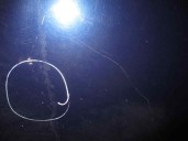 Recambio de capot para renault megane i coach/coupe (da0) 1.6 referencia OEM IAM 7751467872 AZUL 