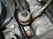 Recambio de motor completo para mercedes-benz clase e (w210) berlina diesel 3.2 cdi cat referencia OEM IAM 613961 30011608 