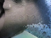 Recambio de pinza freno delantera izquierda para seat leon (5f1) 1.6 tdi referencia OEM IAM 8V0615123 6791C TRW