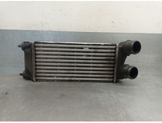 Recambio de intercooler para renault laguna iii (bt0/1) 1.5 dci (bt00, bt0a, bt0t, bt1j) referencia OEM IAM 9684212480 968421248