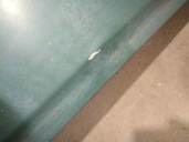 Recambio de capot para nissan pathfinder (r51) 2.5 dci diesel cat referencia OEM IAM 65100EB330 VERDE 