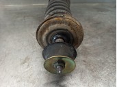 Recambio de amortiguador trasero derecho para seat ibiza (6k1) 1.4 referencia OEM IAM 6K0513033D  