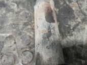 Recambio de amortiguador trasero izquierdo para hyundai atos prime (mx) gls (2003) referencia OEM IAM 5531002110 