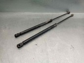 Recambio de amortiguadores maletero / porton para daewoo nexia 1.5 cat referencia OEM IAM 