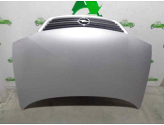 Recambio de capot para opel sintra 2.2 16v cat (x 22 xe) referencia OEM IAM GRIS 