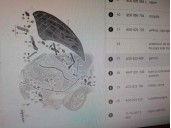 Recambio de cerradura capot para audi a6 avant (4g5) 3.0 v6 24v tdi referencia OEM IAM 4G0823480  