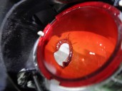 Recambio de piloto trasero izquierdo para citroën c1 sx referencia OEM IAM 6350X8 815600H060 