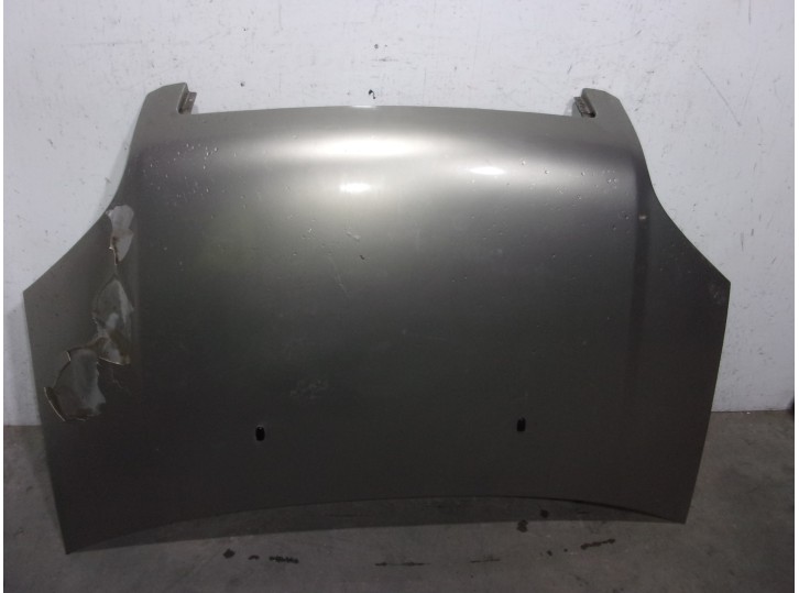 Recambio de capot para ford fusion (cbk) 1.4 16v cat referencia OEM IAM 1346687 MARRON 