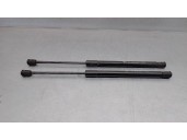 Recambio de amortiguadores capo para chevrolet captiva 2.0 diesel cat referencia OEM IAM 96624422 DERECHO E IZQUIERDO 