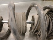 Recambio de amortiguador trasero derecho para nissan almera tino (v10) 1.8 referencia OEM IAM 56210BU000 56210BU000 