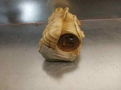 Recambio de airbag delantero derecho para opel astra twin top 1.9 16v cdti cat (z 19 dth / lrd) referencia OEM IAM 24451349 