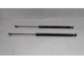 Replacement trunk / tailgate struts for Chevrolet Captiva 2.0 Diesel CAT OEM IAM reference 96624626 RIGHT AND LEFT 