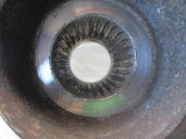 Recambio de mangueta delantera izquierda para kia shuma ii 1.6 cat referencia OEM IAM 0K2C033031C  