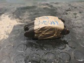 Recambio de pastillas de freno para renault kangoo (f/kc0) 1.5 dci diesel referencia OEM IAM 7701208142  