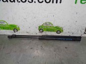 Recambio de amortiguadores maletero / porton para fiat seicento (187) 1.1 referencia OEM IAM 46453503 