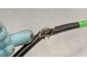 Replacement sensor for Volkswagen Scirocco III (137, 138) 2.0 TDI OEM IAM reference 04L906088BS 04L906088BS 