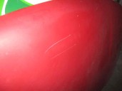 Recambio de capot para seat arosa (6h1) 1.0 referencia OEM IAM 6H0823031A ROJO 