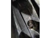 Recambio de caja cambios para lancia ypsilon (101) 1.3 jtd 16v referencia OEM IAM 21770215855 55217774 