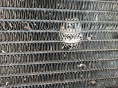 Recambio de radiador agua para fiat fiorino (255) 1.7 diesel referencia OEM IAM 50005580 811387 VALEO