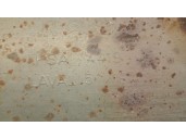 Recambio de tubo escape trasero para peugeot expert furgoneta (v_) 2.0 bluehdi 120 referencia OEM IAM 9822227980 9822227980 