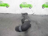 Recambio de termostato para skoda superb (3u4) 1.9 tdi referencia OEM IAM 038121132G  